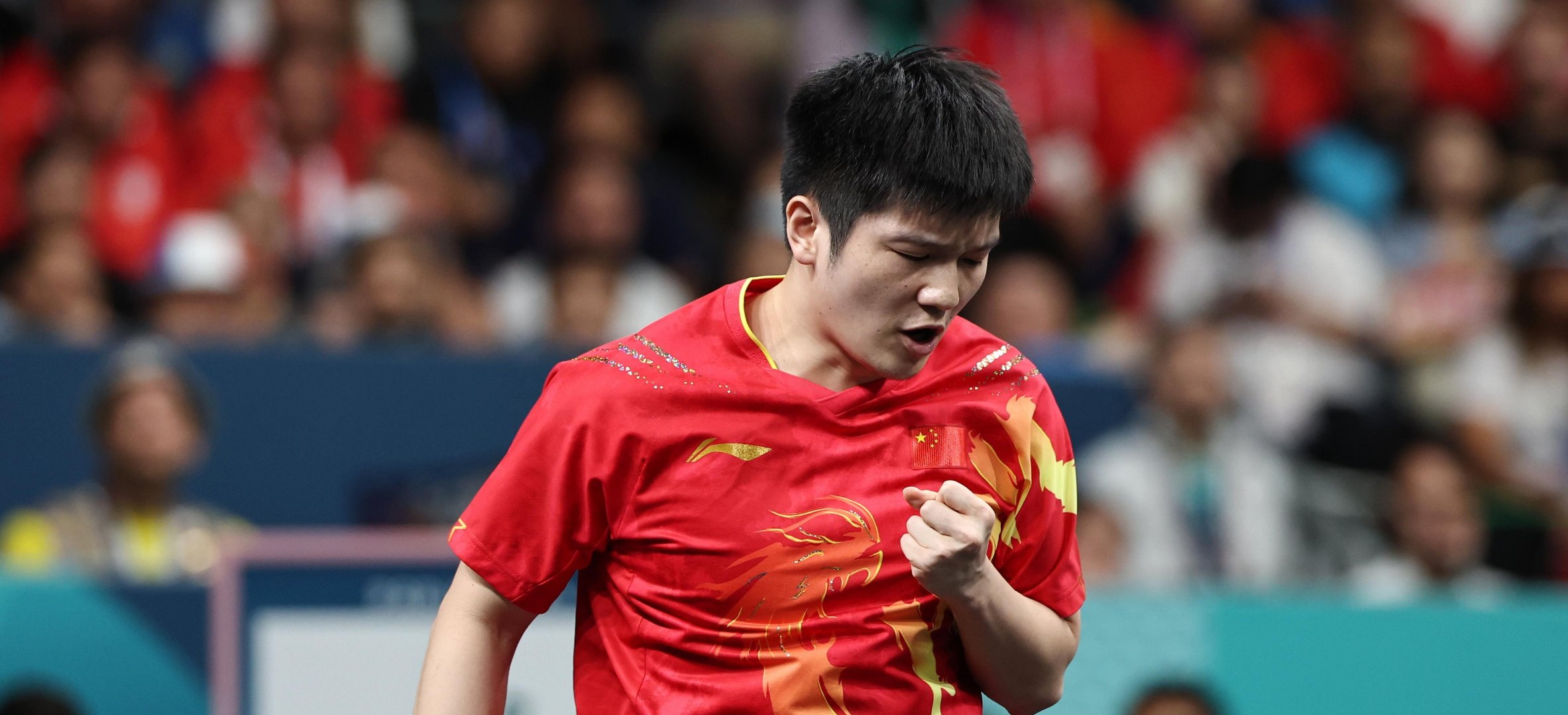 法国队逆转奥地利队，樊振东高光表现的简单介绍