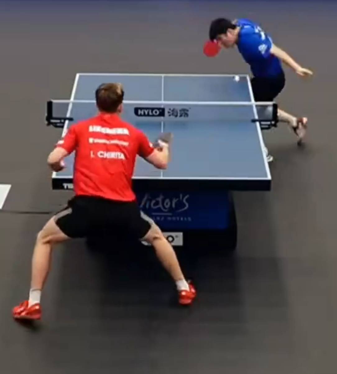 关于日本乒乓球队翻盘德国乒乓球队，樊振东关键制胜的信息