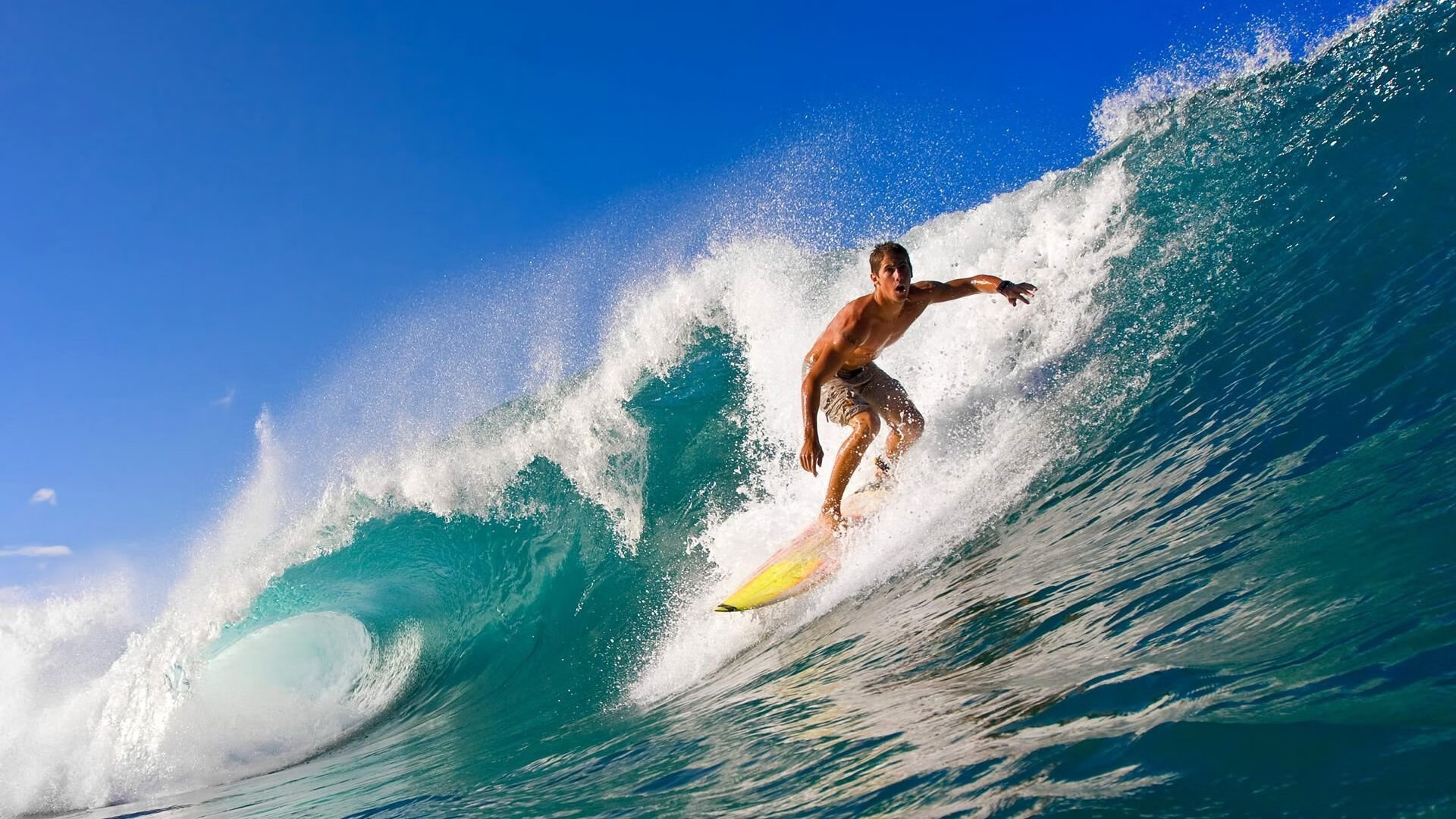 PG平台-年度焦点之战之夜，文班亚马如何以节奏掌控书写传奇